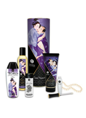 Coffret collection plaisirs charnels 5 produits Shunga + un collier de perles - CC0070